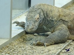 Haus des Meeres 13.03.2026